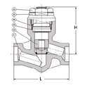 Pressure Seal Piston Check Valve (LIFC3009)