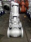 Globe Check Valve (HJ41)