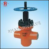 High Pressure Flat Gate Valve (ZF63Y)