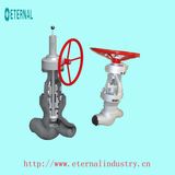 Globe Valves, Globe Pressure Seal Valve