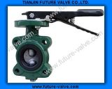 Short Neck Lug Type Butterfly Valve with Two Stems (D71X)