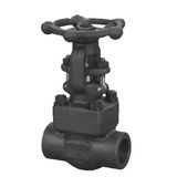 Forged Steel Gate Valve