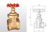 Amico Brass Gate Valve