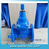 Bs5163 Gate Valve