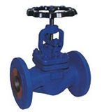 DIN Globe Valve