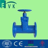 Cast Iron Non-Rising Stem Gate Valve