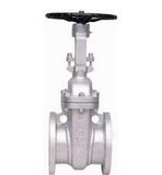 Stainless Steel Gate Valve