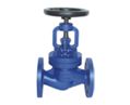 Globe Valve