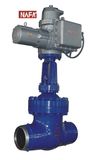 Flushing Pipe Valves (NF-017)