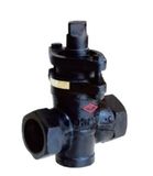 Cast Iron Plug Valve X13W-10