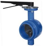 Grooved-End Butterfly Valve