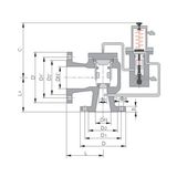 Pilot-Operated Pressure Relief Valve (TFA46C Type)