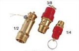 Safety Valve