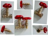 Brass Gate Valve/ Brass Stop Valve (a. 7016)