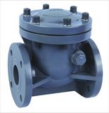 FRPP Check Valve, PVC Swing Check Valve, Plastic Check Valve