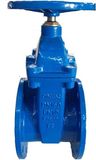 DIN F4 Rubber Wedge Gate Valve