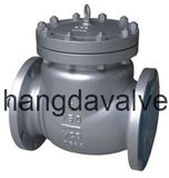 Flange Check Valve