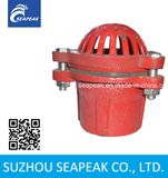 Cast Iron Red Foot Valve