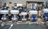 Pneumatic Actuated Double Butterfly Valve