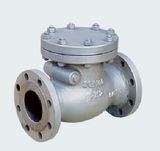 DIN/ ANSI/ BS/JIS/ Ks/ GOST Cast Iron Check Valve