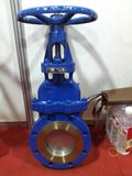 Cast Iron Forged Wafer Knife Gate Valve