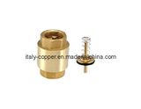 Brass Spring Vetrical Check Valve (AV5010)