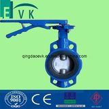 Cast Iron Df316 Lug Type Butterfly Valve