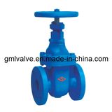 Non Resing Stem Cast Iron Double Flange Gate Valve