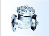 Swing Check Valve