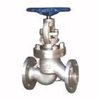 Globe Valve