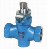 NPT Plug Valve