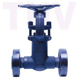 Flanged Forged Steel Gate Valve