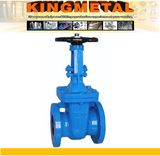 Cast Iron Manual Slide Rising Stem Gate Valve