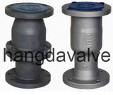 Vertical Check Valve