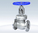 Globe Valve