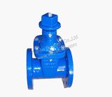 Non-Rising Stem Resilient Seated Gate Valve (GVS-N)