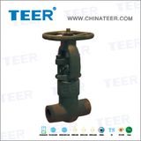 Forged Steel Pressure Seal Gate Valve