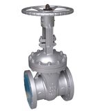 Globe Valve