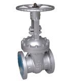 Globe Valve