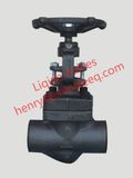 A105 Forged Steel Globe Valve