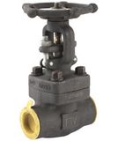 API NPT/Sw Forged Steel Gate Valve (Z41H-1/4