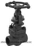 Industry Dn15-Dn100 No-Return Steam Globe Valve