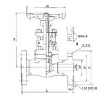 API Forged Steel Gate Valve (Z41H (Y/W))