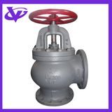 Cast Iron Screw Down Check Angle Valve (JIS F7376 10K200)