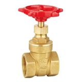 Brass Gate Valve (SSF50060)