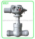 Power Station Gate Valve