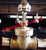 Cast Steel Wcb High Pressure Gear Operate Flanged Gate Valve