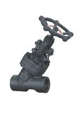 Forged Y Globe Valve (NPT/SW/BW)