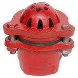 Foot Valve (CTF10)