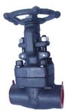 API 602 Forged Globe Valve